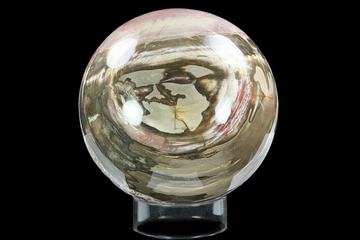 Colorful, Petrified Wood Sphere - Madagascar #126395